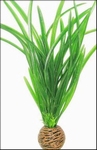 SF EASY PLANTS MIDDEL NR 8
