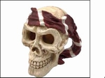 SF SKULL + JAR RED PIRATE