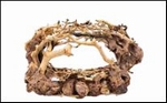 SF BONSAI ROCK S ZINKEND