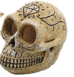 SF SKULL MONKEY