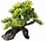 SF DECO GARDEN BONSAI