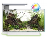 SF QUADRO 40 MULTICOLOR  AQUARIUM WIT
