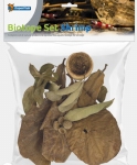 SF BIOTOPE SET SHRIMP