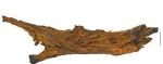 SF DRIFTWOOD XXL