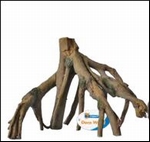 SF MANGROVE WORTEL S