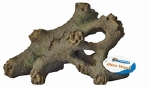 SF TREE ROOT WORTEL S