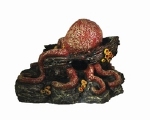 SF DECOLED OCTOPUS