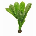 SF EASY PLANTS HOOG 30CM NR 8