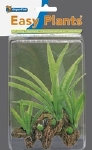 SF EASY PLANTS WOOD 22CM MICRSORIUM
