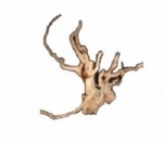 HS SPIDERWOOD LARGE