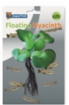 SF EASY PLANTS FLOATING HYACINTH