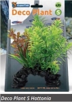 SF DECO PLANT S HOTTONIA