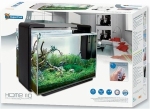 SF HOME 110 AQUARIUM WIT