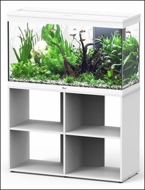 AQUATLANTIS AQUARIUM SPLENDID ULTRA 100 MET RGB WIT/L NOTEN