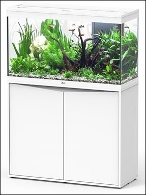 AQUATLANTIS AQUARIUM SPLENDID ULTRA 100 MET RGB WIT/L NOTEN