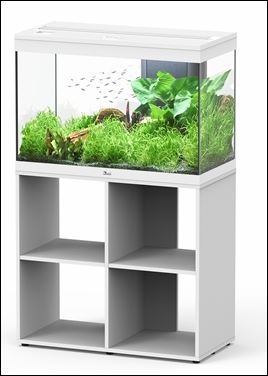 AQUATLANTIS AQUARIUM SPLENDID ULTRA 80 MET RGB  WIT L/N