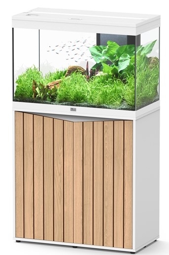 AQUATLANTIS AQUARIUM SPLENDID ULTRA 80 MET RGB  WIT L/N