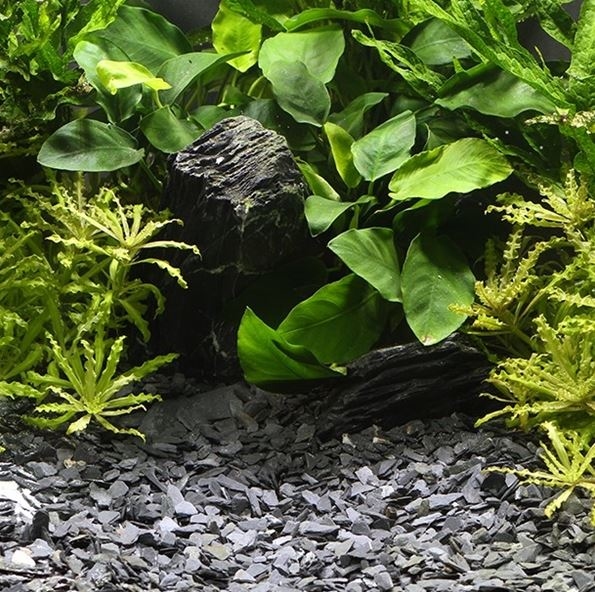 DENNERLE NATURAL GRAVEL KONGO 3-8 MM 2,5KG