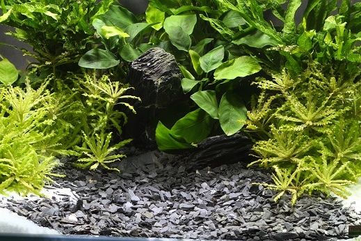DENNERLE NATUURGRIND PLANTAHUNTER BAIKAL 3-8MM 5KG
