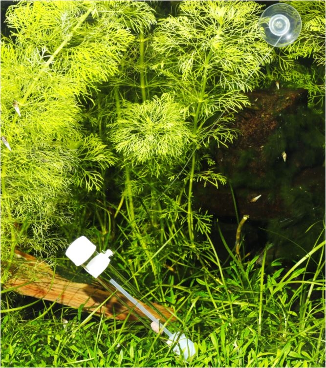 JBL PLACOLLECT PLANARIA VAL