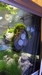 WALL STONE S