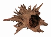 HS AQUA CORBO ROOT HOUT LARGE 40-60CM