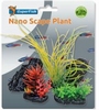 SF NANO SCAPE PLANT
