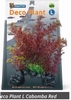 SF DECO PLANT CABOMBA RED L