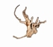 HS SPIDERWOOD M  31-40CM