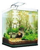 Nano / kleine aquariums